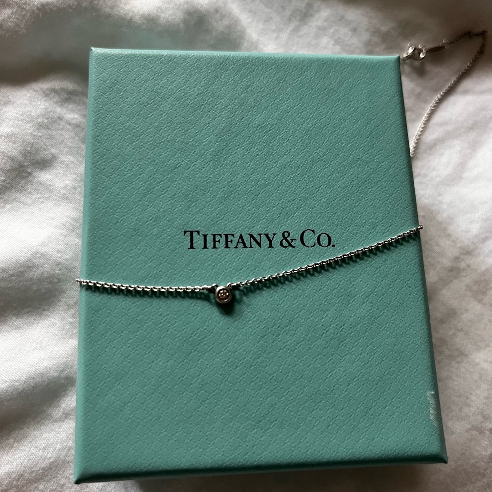 Tiffany and Co. and Elsa Peretti Diamonds by the Yard  necklace